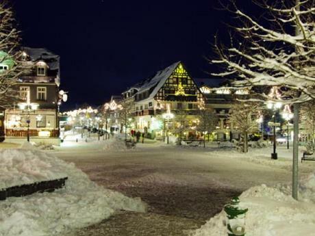 Stadtwohnung Schneeflocke Winterberg Exteriér fotografie